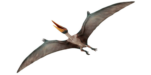 Realistic 3D rendering of a flying pterosaur. © Ilie