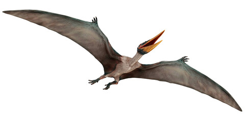Majestic pterosaur soaring through the sky. © Ilie