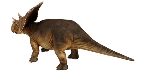 Regal dinosaur showcasing majestic frill and horns. © Ilie