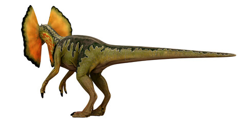 Realistic depiction of a Dilophosaurus dinosaur