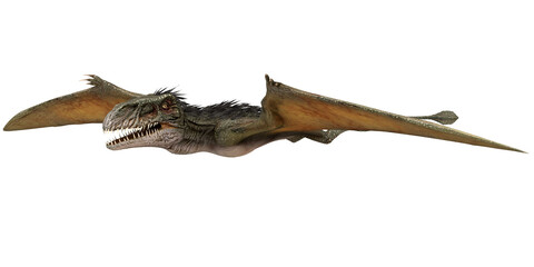 Fototapeta premium Realistic 3D rendering of a flying pterosaur