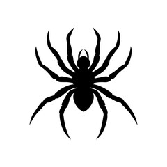 Silhouette spider arachnid on transparent background