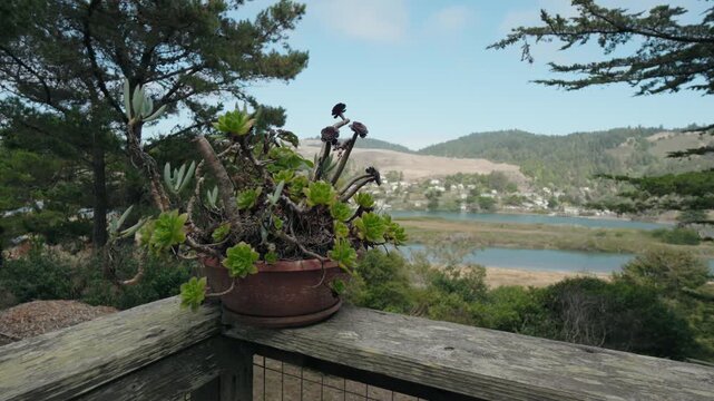 Potted Succulent on Wood Railing Overlooking a Lagoon and Scenic Seaside Town