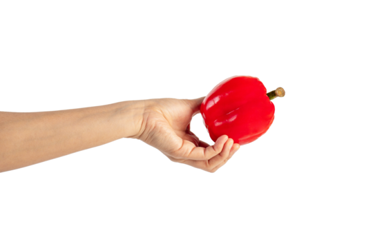 Red sweet bell pepper in hand isolated on transparent background - Powered by Adobe