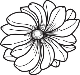 Elegant hand-drawn flower line art illustration. Black and white botanical outline graphic. Floral element for design, coloring, and decorative pro...