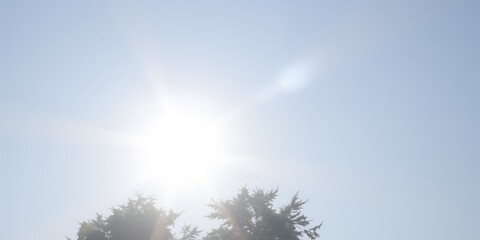Bright sunburst shining through clear blue sky above dark green evergreen trees