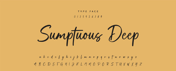 Handwritten Font Calligraphy Logotype Script Font Type Font lettering handwritten, Illustration vector, for design