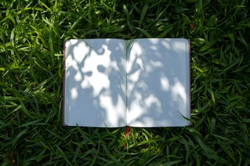 Open blank book pages on green grass