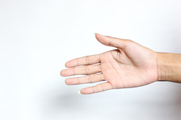 Fototapeta premium handshake for the business on white background, contract agreemnt concept.