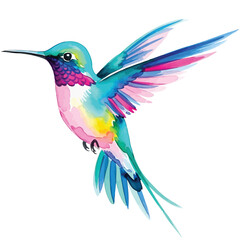 Obraz premium Vector illustration of colorful hummingbird in flight