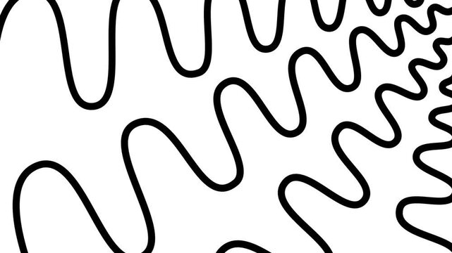 Animated black decorative wavy lines is drawn. Linear background. Looped video. Vector illustration isolated on white background.