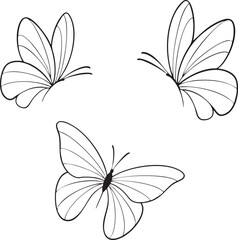 Set of Silhouette fashionable butterflies isolated vector line art	