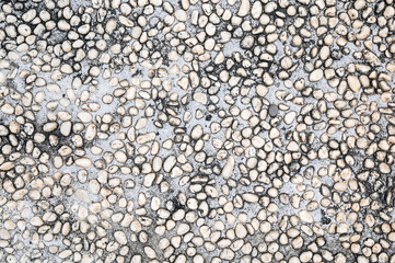 background with rough sidewalk texture with natural pebbles. Surface of decorative pavement