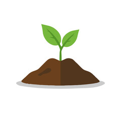 green plant in the soil