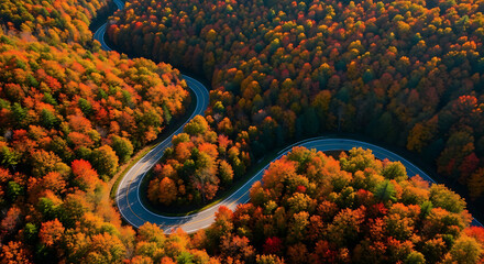 Winding Road Through Vibrant Autumn Forest Aerial View.