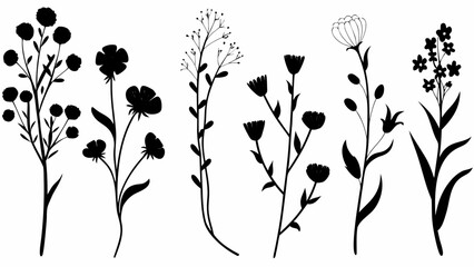 Elegant botanical silhouettes for dreamy designs, nature-inspired art, and minimalist floral arrangements, perfect for invitations, branding, and creative projects