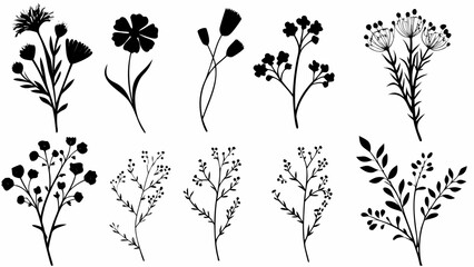 Botanical Beauty: Delicate wildflower silhouettes create an elegant, minimalist design perfect for invitations, branding, and nature-inspired projects