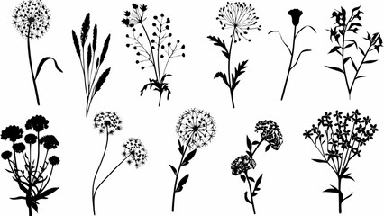 Botanical silhouette collection featuring wildflowers and grasses, perfect for rustic invitations or minimalist design projects, delicate and modern floral elements