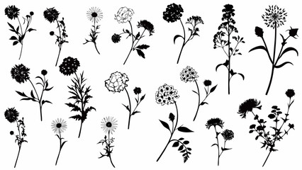 Elegant botanical silhouettes collection perfect for sophisticated invitations and timeless designs, featuring delicate wildflowers and classic floral elements