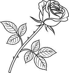 Elegant Rose in Simple Lines