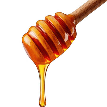 Honey dripping on wooden dripper isolated on transparent background.
