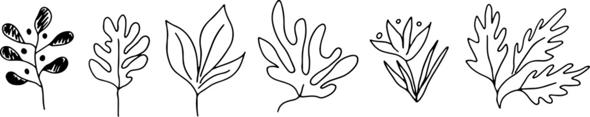 Obraz premium Plant vector garden cute element set. Hand drawn flower, leaf, cute elements drawing with brush-pen. Drawn with black curved lines in grunge style. Doodle garden floral plant background. 