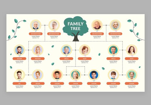 Family Tree Infographic Vector & Org Chart Layout with Cute Education Style for School Teachers