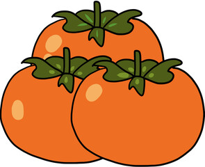 vector illustration of persimmon
