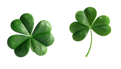 Close-Up and Full View of Four-Leaf Clovers 3D Icon, isolated on transparent background