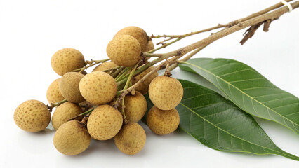 Closeup of fresh longan fruits with green leaves isolated on white background, highlighting the texture and natural beauty of the fruit