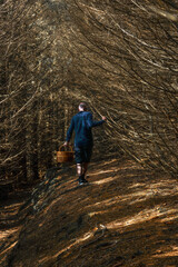 Rear view of a man with a wicker basket searching for mushrooms, walking along a forest path lined with dense, dry branches.