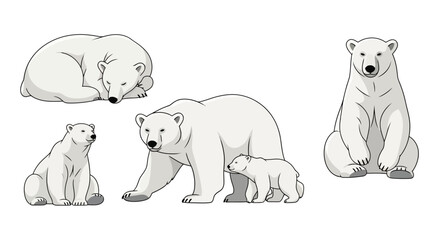 Vector illustration of polar bears in various poses, including sleeping, walking, sitting, and with a cub, white background