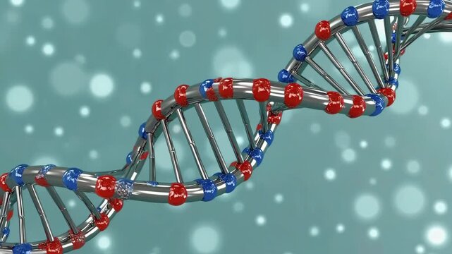 3 D N A helix structure with red and blue bases rotating against a soft blue bokeh background