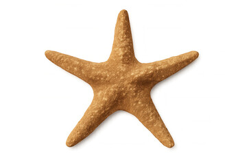Brown sea star with five arms, a marine echinoderm animal, on a clean transparent background, representing ocean life