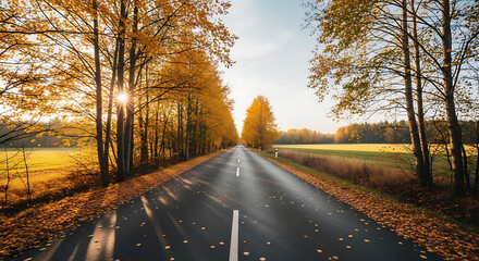Obraz premium Autumn Road Through Forest - Scenic Drive with Golden Sunlight.