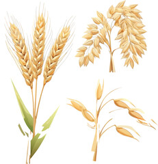 Illustrative depiction of various grains and wheat stalks with green leaves