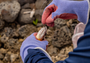 the little fights in life 