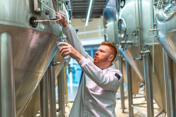 Man performing quality control testing in beer brewery fermentation tanks