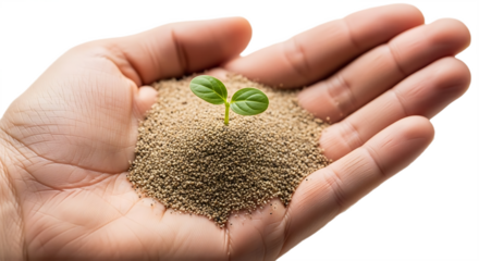 A Human Hand Gently Holds and Nurtures a Tiny Green Seedling