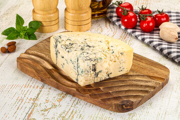 Gourmet blue cheese with mold