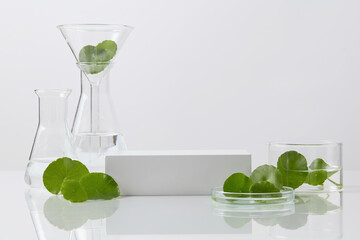 Glass beakers with fresh Centella leaves arranged on a white block platform, leaving empty space suitable for product placement in design. Front view, blank space for display product