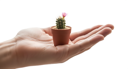 Hand Holding a Small Potted Cactus with a Pink Flower, Symbolizing Delicate New Life