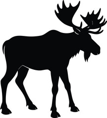 Majestic bull moose with large antlers standing in profile a striking black silhouette on white background
