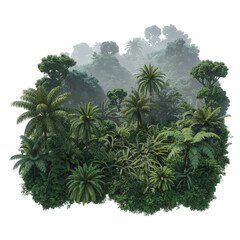 Lush Tropical Rainforest with Mist and Palm Canopy: Dense Green Vegetation Layers in Biodiverse Jungle Ecosystem Scene