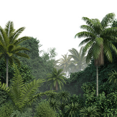 Dense Tropical Rainforest with Mist and Palm Trees: Lush Green Vegetation Layers in Atmospheric Jungle Scene with Overcast Sky