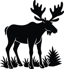 Majestic moose with large antlers standing in tall grass and pine trees silhouette on white background