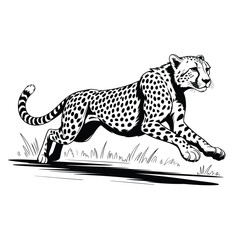 Black and white illustration of a cheetah running through grass