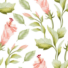 Pastel watercolor hibiscus buds and blooming flower with leaves seamless pattern on white. Pink green spring garden repeat background in botanical style. Hand drawn floral clip art