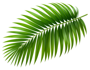  Download Preview Preview Crop Find Similar File 