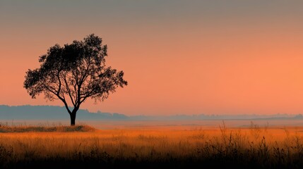 Serene Lone Tree Silhouetted Against Vibrant Sunset Sky